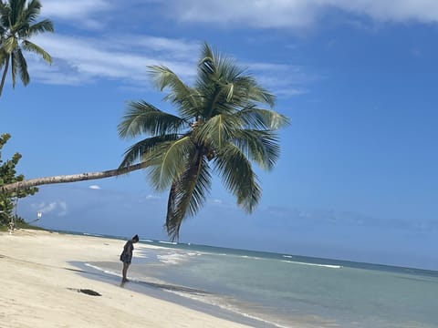 Beach nearby, white sand