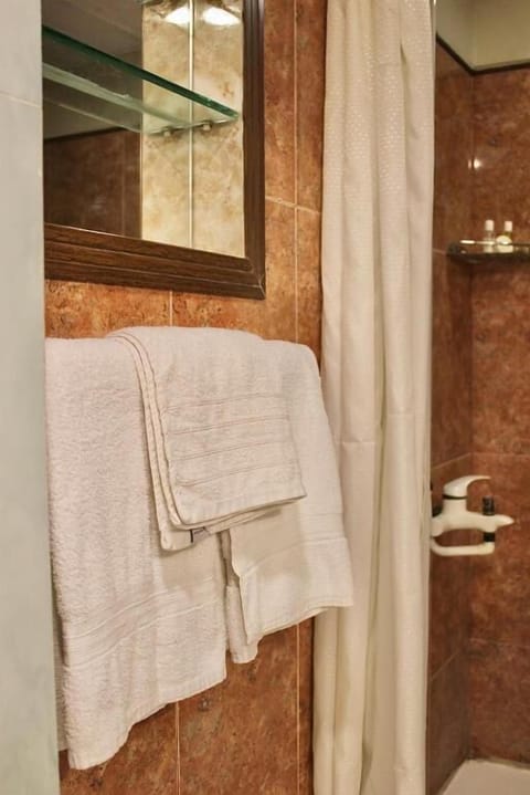 Deluxe Double Room | Bathroom | Shower, designer toiletries, towels, soap