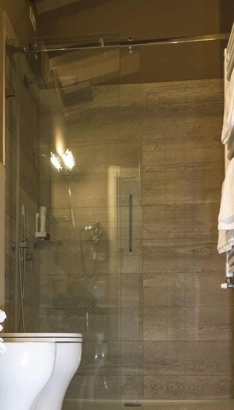 Shower, free toiletries, hair dryer, slippers