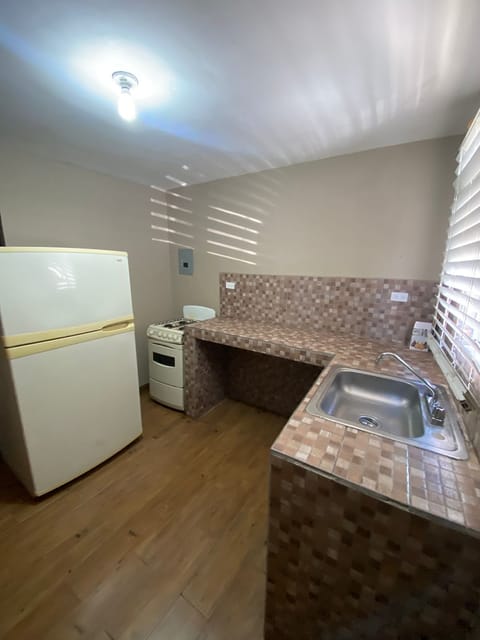 Basic Apartment | Private kitchen | Full-size fridge, microwave, stovetop, dishwasher