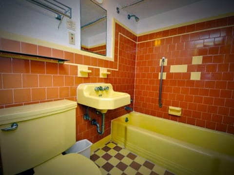 Combined shower/tub, free toiletries, hair dryer, towels