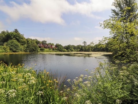 Cottage | Miscellaneous