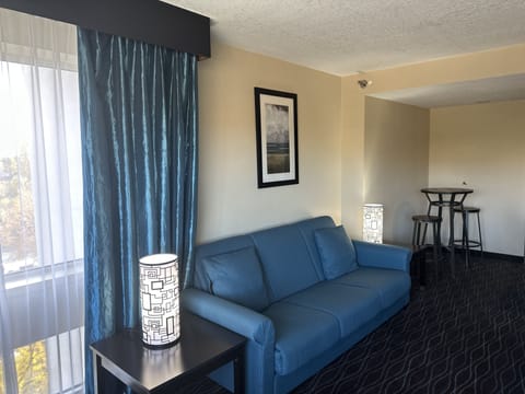 Suite, 1 King Bed, Roll-in Shower (Communications Accessible) | Living area | 42-inch LCD TV with cable channels, TV