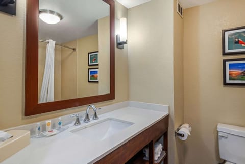 Combined shower/tub, free toiletries, hair dryer, towels