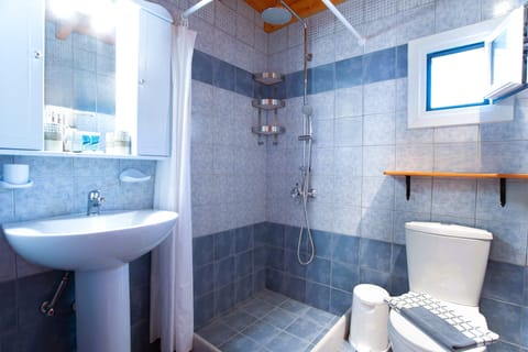 Room, 1 Bedroom, Smoking, Terrace | Bathroom shower