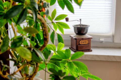 Superior Double Room | Living area