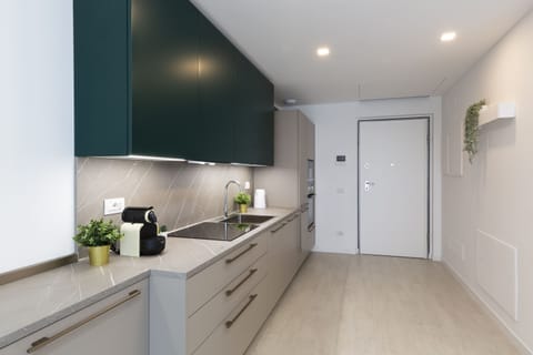 Panoramic Apartment | Private kitchen | Full-size fridge, microwave, oven, stovetop