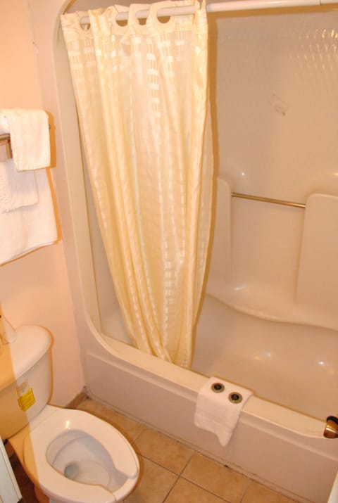 Combined shower/tub, hair dryer, towels, soap