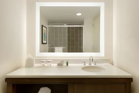 Suite | Bathroom sink