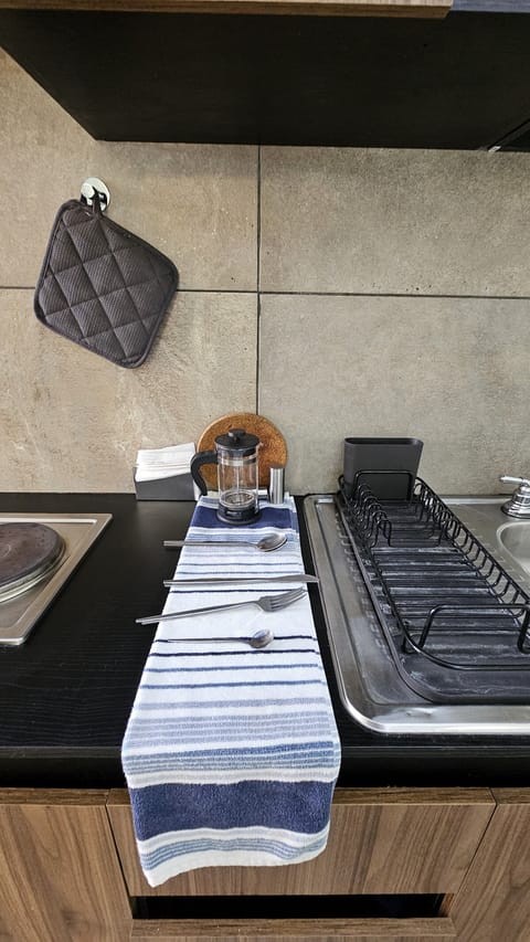 Family Studio Suite, Multiple Beds, Non Smoking, Kitchen | Private kitchen | Fridge, microwave, blender, griddle