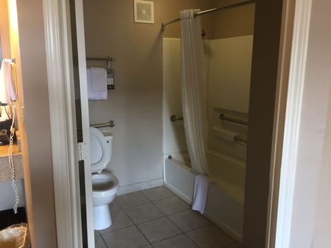 Room, Accessible, Refrigerator | Bathroom shower