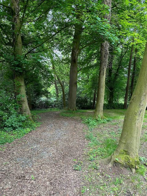 Apartment | Property grounds