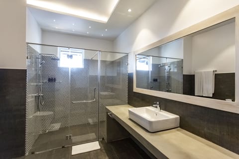 Deluxe Room | Bathroom | Shower, rainfall showerhead, free toiletries, hair dryer