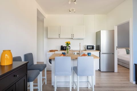 Classic Apartment | Private kitchen | Fridge, oven, stovetop, dishwasher