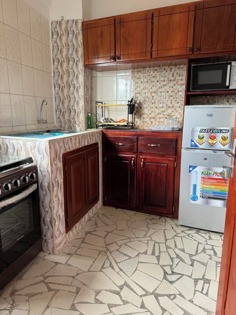 Elite Apartment | Private kitchen | Full-size fridge, microwave, oven, toaster