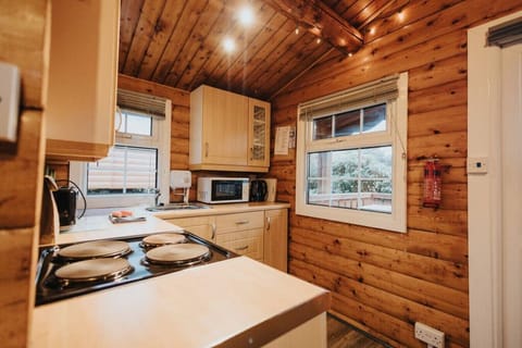 Comfort Cabin | Private kitchen | Full-size fridge, microwave, oven, stovetop