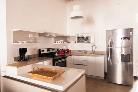 Loft (J5-203) | Private kitchen | Full-size fridge, microwave, oven, dishwasher