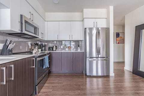 City Apartment, City View | Private kitchen | Fridge, microwave, oven, stovetop