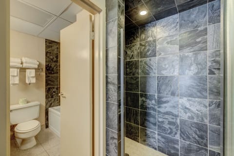 Combined shower/tub, rainfall showerhead, hair dryer, towels