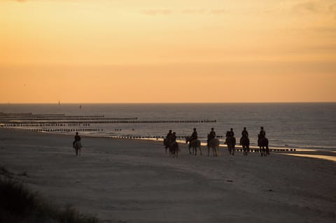 Horseback riding