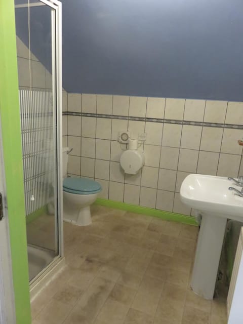 Shower, rainfall showerhead, hair dryer