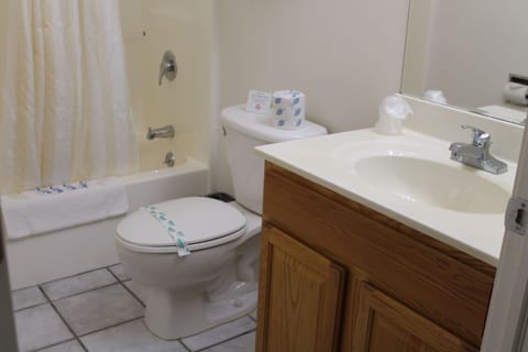 Luxury Double Room | Bathroom | Combined shower/tub, rainfall showerhead, free toiletries, hair dryer