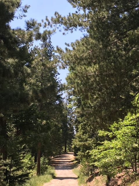 Cabin, 5 Bedrooms, Fireplace, Mountain View | View from room