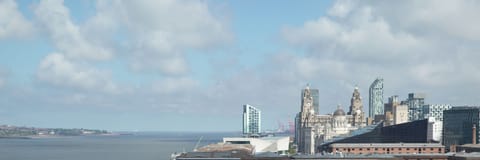 Superior Room, 1 King Bed, River View | View from room