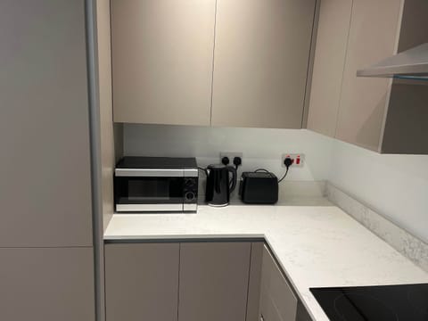 Basic Apartment | Private kitchen | Full-size fridge, microwave, oven, stovetop