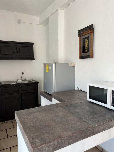 Economy Apartment | Private kitchen | Microwave, kitchen islands