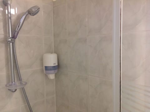Triple Room | Bathroom | Shower, free toiletries, hair dryer, towels