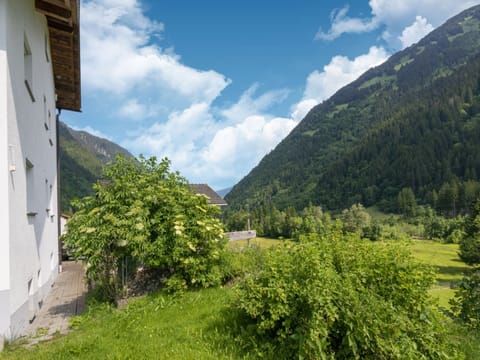 House | View from property