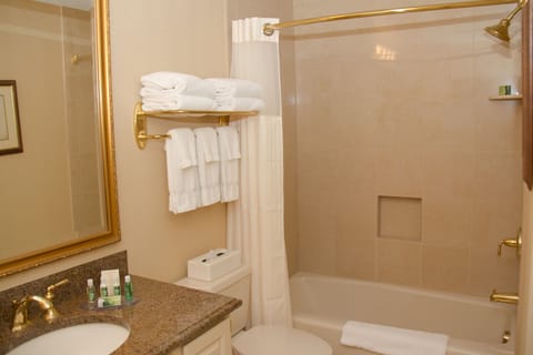 Queen Corner Suite | Bathroom | Free toiletries, hair dryer, towels