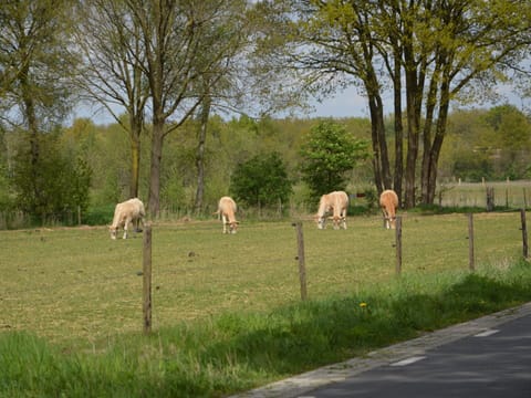 House | View from property