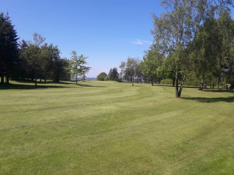 House | Miscellaneous