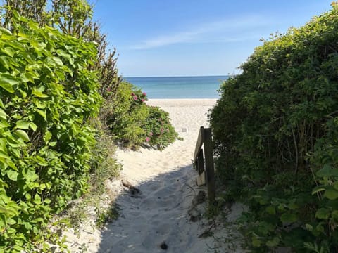 House | Beach