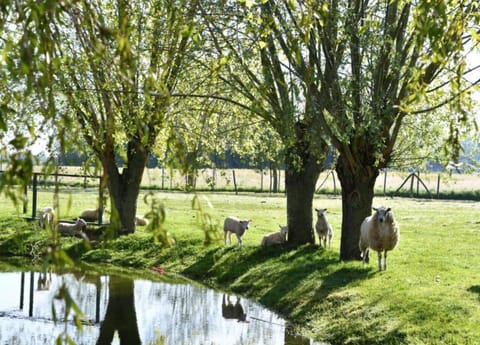 Apartment | View from property