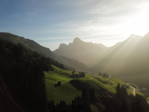 Apartment | Miscellaneous