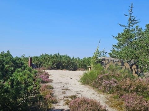 House | Miscellaneous