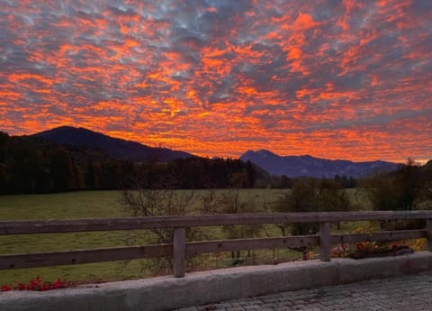 Apartment | View from property