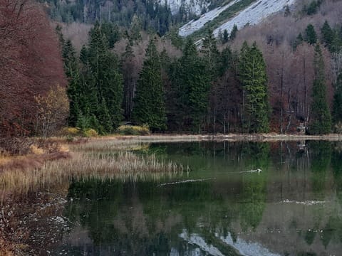 Apartment | View from property