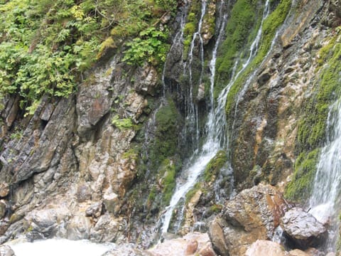 Apartment | View from property