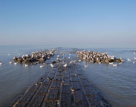 Apartment | View from property