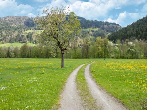 Apartment | View from property