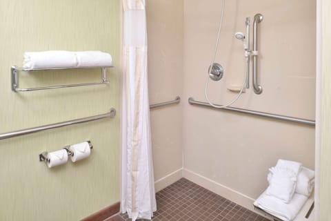 Room, 1 King Bed, Accessible | Bathroom | Combined shower/tub, free toiletries, hair dryer, bathrobes