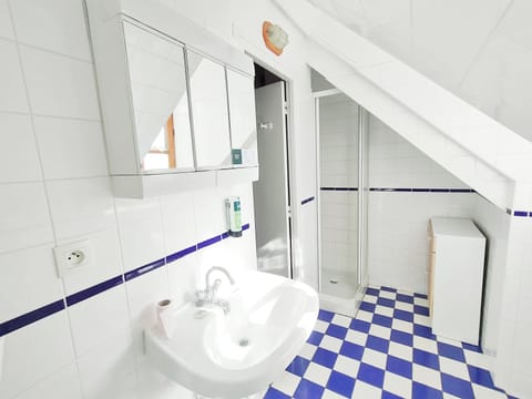 Quadruple Room | Bathroom | Free toiletries, hair dryer