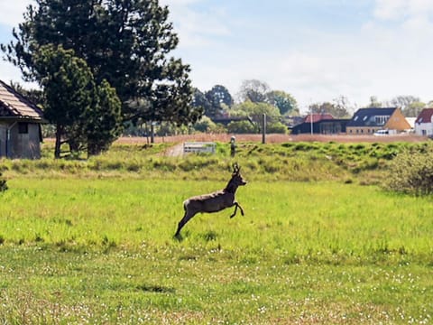 House | Miscellaneous