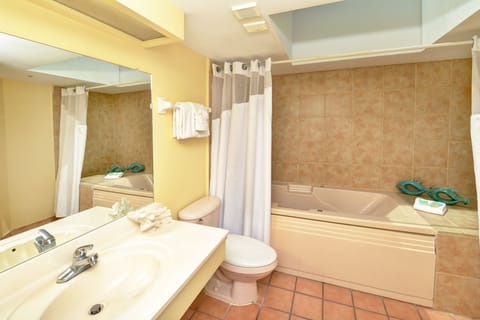 Combined shower/tub, free toiletries, hair dryer, towels