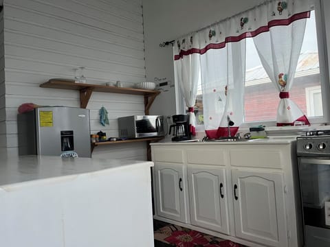 Standard Double Room Single Use, Kitchenette, Sea View | Private kitchen | Fridge, microwave, oven, coffee/tea maker