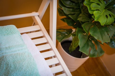 Apartment (Two Bedroom Apartment with Balcony an) | Interior detail